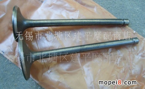 (yng)RR˹YP-250T(mn)