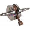 (yng)100CC2T100AX100 Ħ܇S