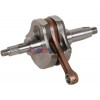 (yng)125CCSDERDI Ħ܇S