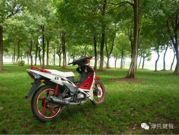 建設K8彎梁摩托車 JS110-5賽車版使用體會