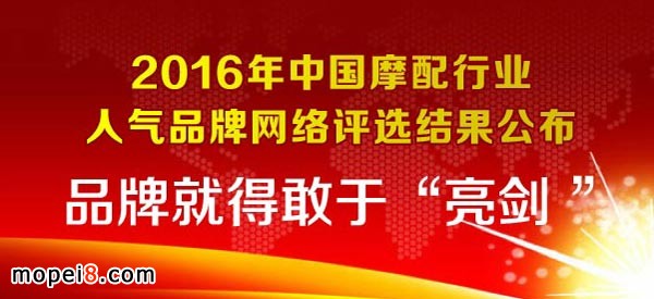 2016中國(guó)摩托車配件行業(yè)人氣品牌公布