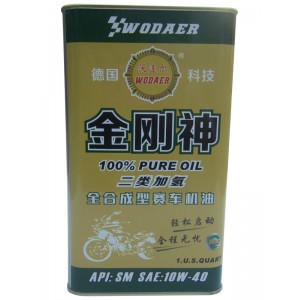 17Ӛȫϳِ܇C(j) SAE10W-40